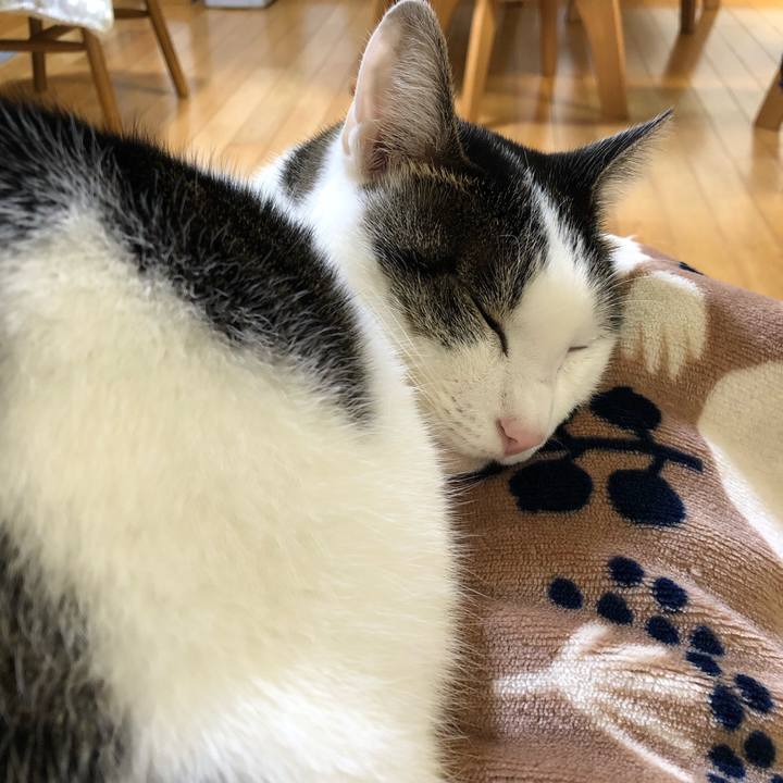 98ad8d03 d31b 4d7d a0a6 33c656b385c7 1700006739425