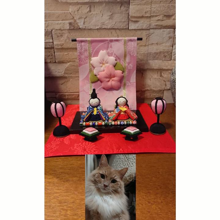 98adc9e9 ede9 4c9c 926f 198f99a0a4b4 1550317835824