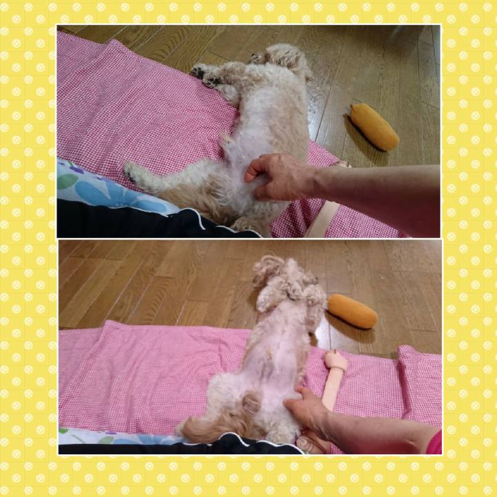 98adda54 553f 4956 8759 23949cd95c0f 1529802950126