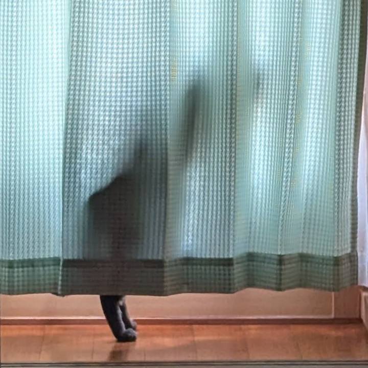 98ae01f8 7bd5 4e40 b980 6edeec10b5b2 1745043791935