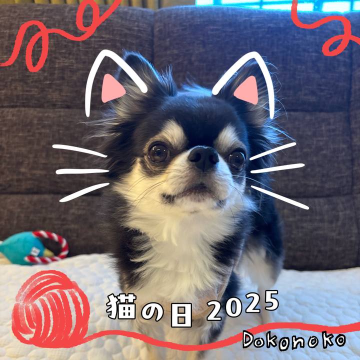 98ae26db 6cad 45d2 bb5f 049370e42646 1740266920215