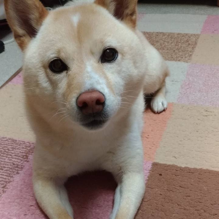 98ae7676 6fa7 4989 9a7b 8c88b315517f 1583184748477