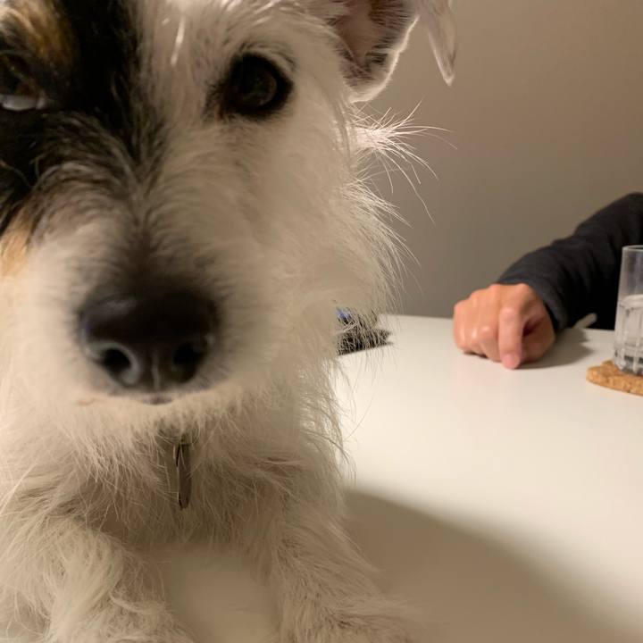 98aeb937 a762 4aef a778 1664f1ba0c6e 1583149105748