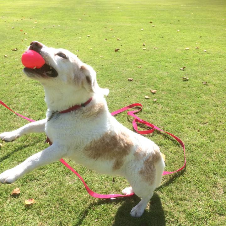 98aedeb7 5a56 4152 b4c2 a4f77adbabca 1667577747810