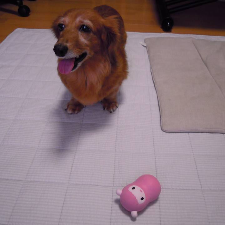 98af5ae3 5d67 4819 8327 8cae60240db9 1558290328301