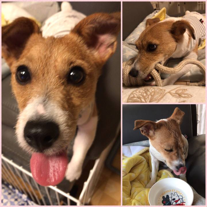 98af8f19 32bb 4dc1 91d4 7ab80cec9b5d 1568462593804