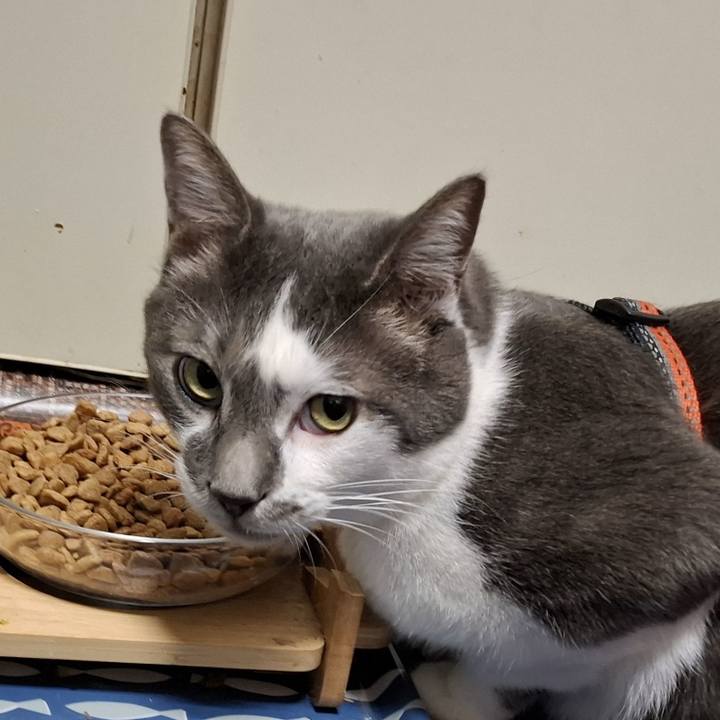 98af9e07 f645 42fa 93c7 c46af260413c 1755856322382