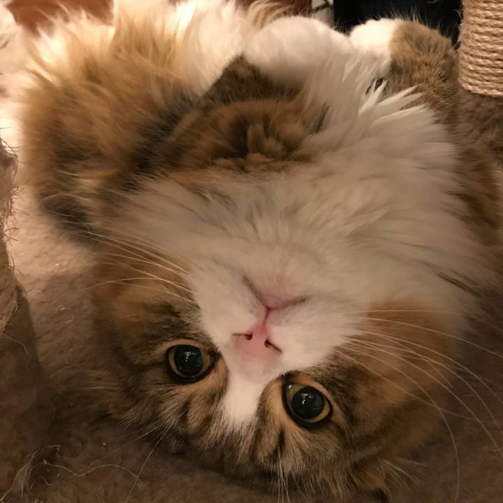 98b00aec 8e94 4742 875d 6d120b9c4e1f 1518354957601