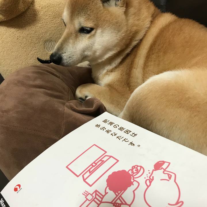 98b0468b da96 42d9 b439 80af9ea3357b 1518995844322