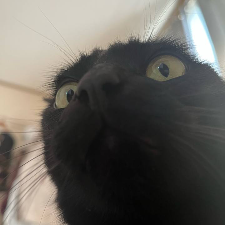 98b0bd78 4929 4ef0 b627 8f912d28c860 1683071989587