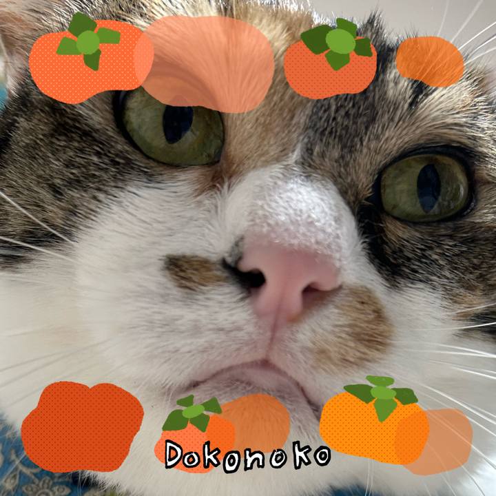 98b0bf04 1c35 48b0 a0a7 f7e0b6fc8515 1762167827959