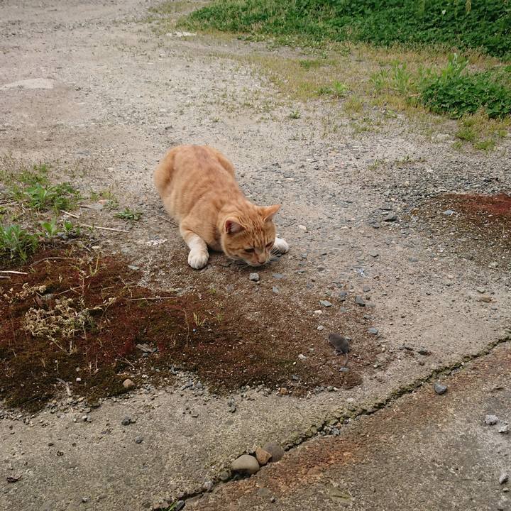 98b0db5f e695 42b7 9647 53f08ca9d584 1589007270239