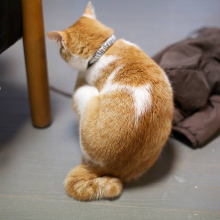 98b10d36 7c68 475d b89d f0e0cdd9bd9b 1673794482798