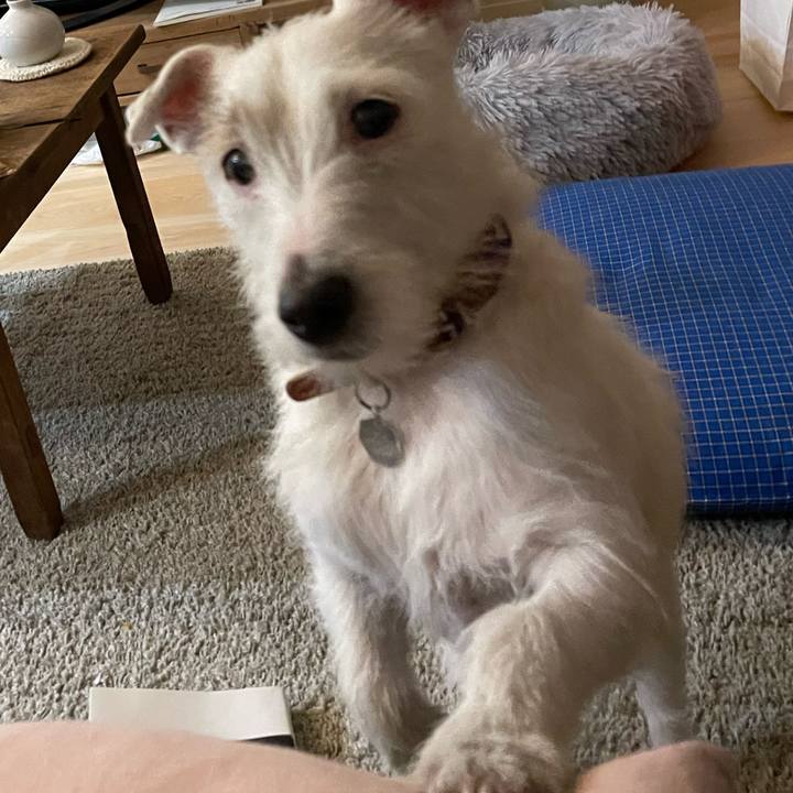 98b11846 9439 4146 9549 287b3f119d4c 1771231621079