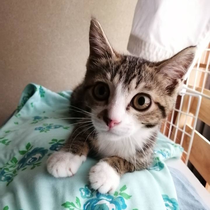 98b12407 8312 4bcb 9a99 d444890a1858 1659392946803