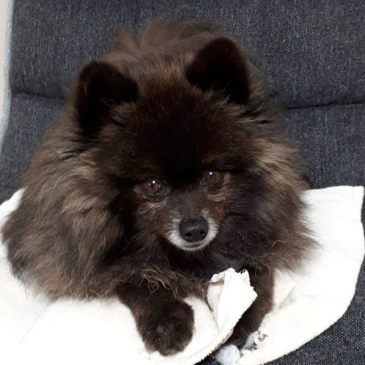 98b12999 bdad 4a1d adfb c51a1e997f86 1520715645285