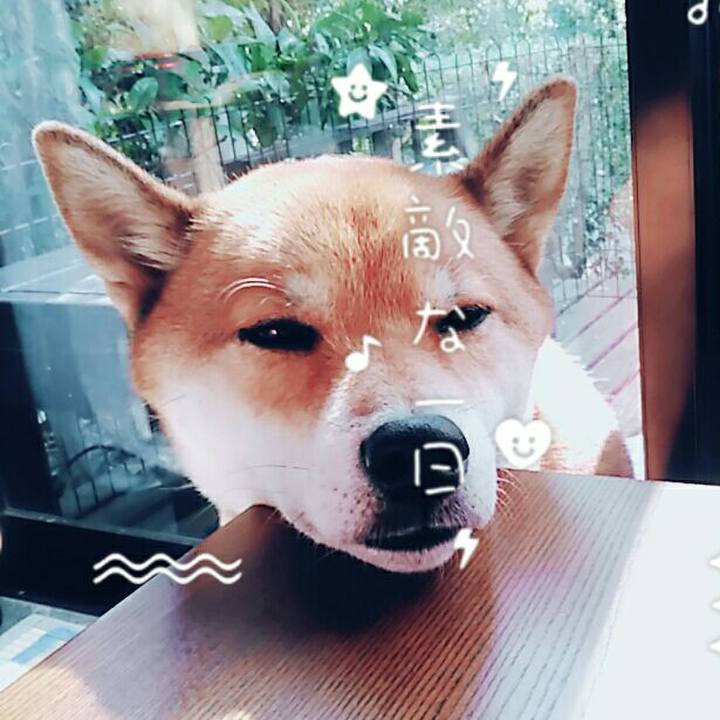 98b1645c 6d3d 4e76 a8f2 c4f13130e39f 1573036867197