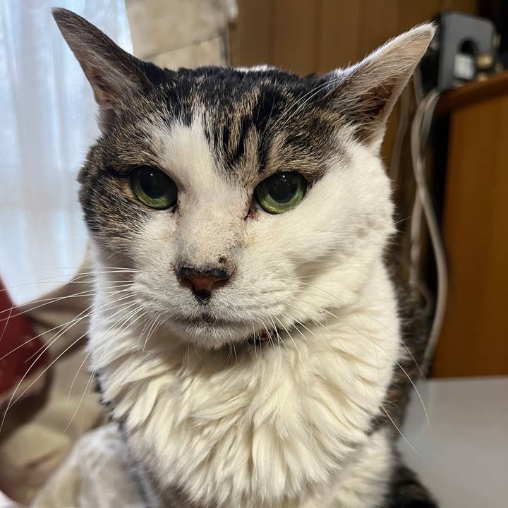 98b16ee5 88ff 41fa 9f1f 661bee07b492 1768946187770