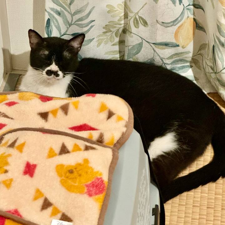 98b18698 8eca 4cbc 9376 a3a1cb4e22fb 1722432220368