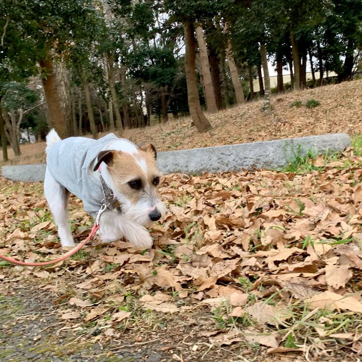 98b19a9b 3e31 4826 be22 2ab9ae83aabb 1609839922315