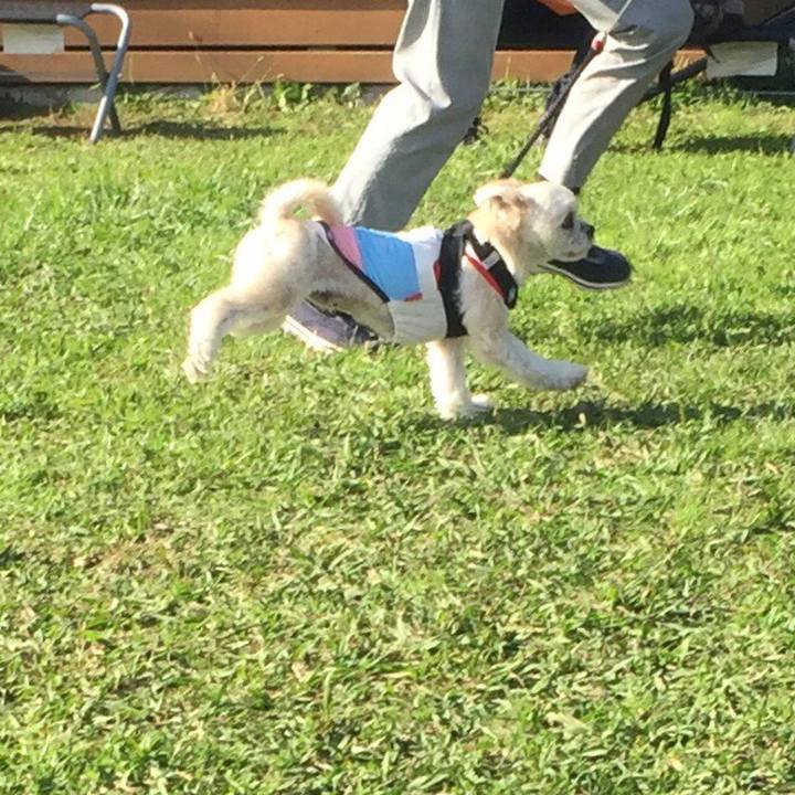 98b1f80c 6c5c 4962 a78d 8e2b35398f8a 1542450211205