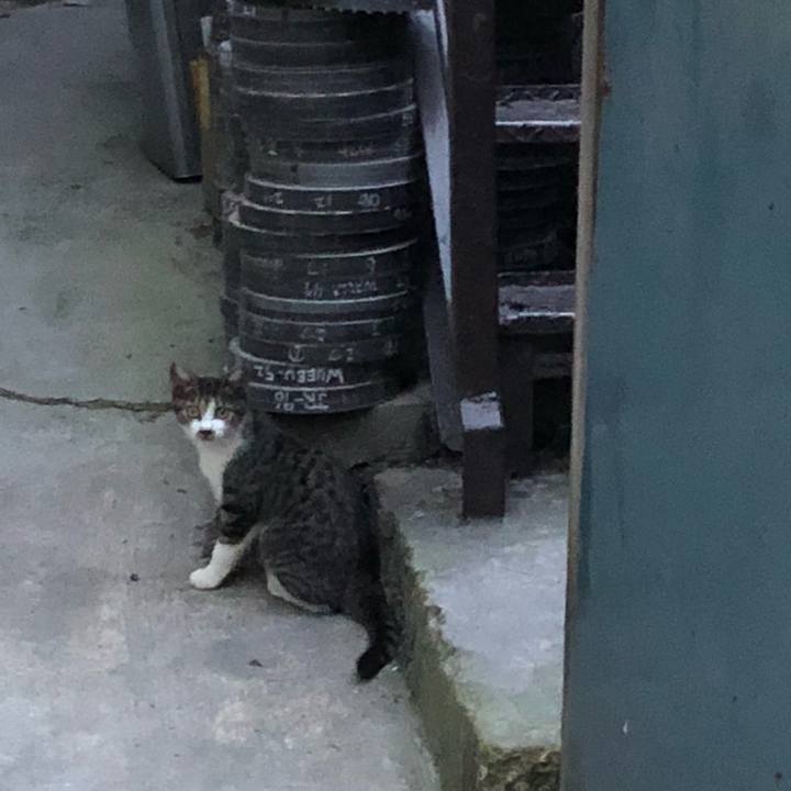 98b1fd67 535e 4ae7 a483 0051f0fc289a 1536239444608