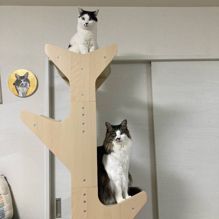 98b226ab b0b6 4ab5 82a3 e9f60e3a4aa7 1771333073658