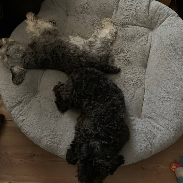 98b22cd5 02c5 4ed2 ac1b 7d44f4ebdfb5 1687153629188