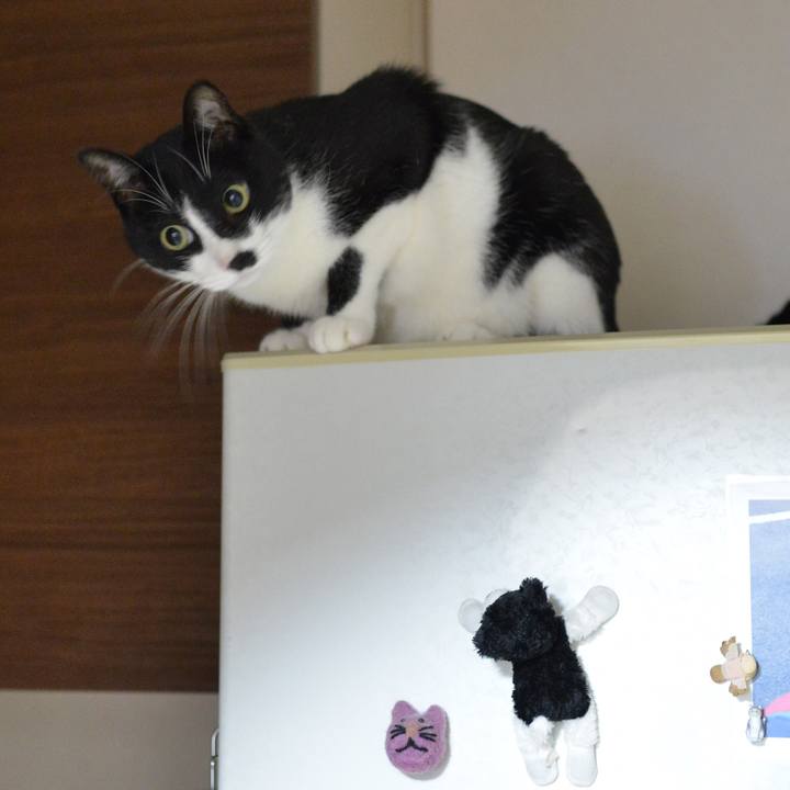 98b23829 863f 4903 b29a 2a969d97c053 1541676504157