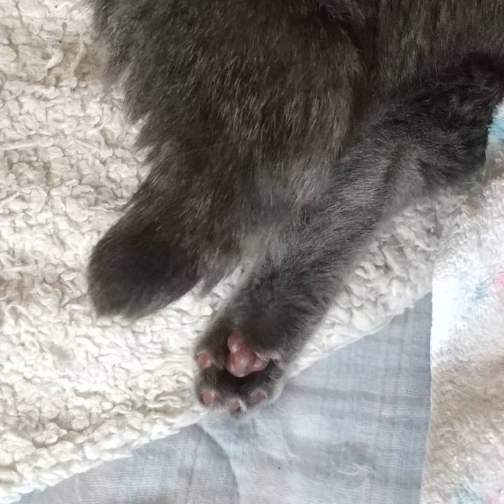 98b25f9b 9587 4307 b906 a4f0dbbe2037 1655768394654