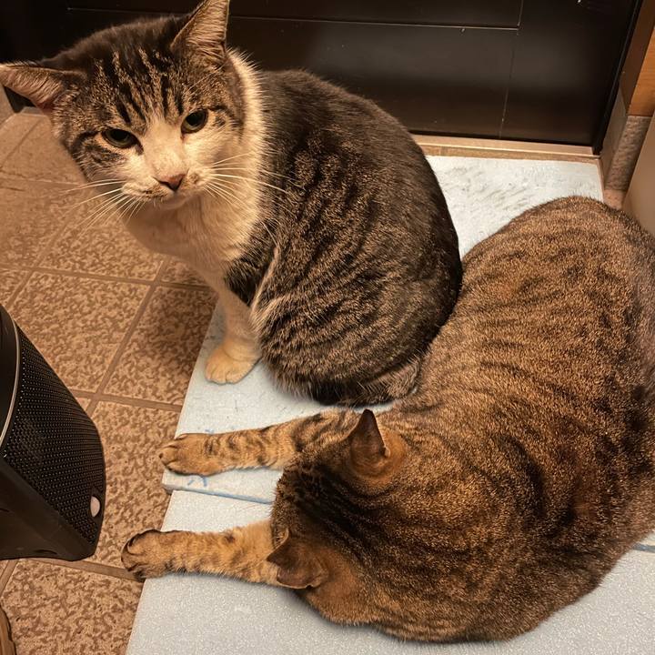 98b281b6 3e6f 4f40 9aab 6d5c691aee71 1612784598500