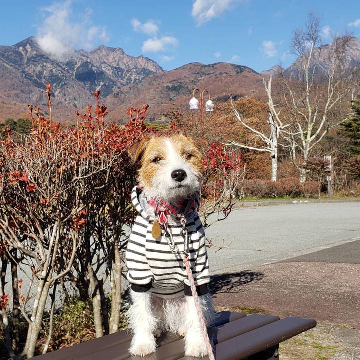 98b2c321 0b04 41bf 8cd7 73100813ac80 1636159793710