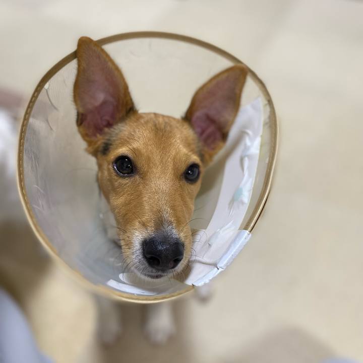 98b3074c 6e2e 4847 852f d5ef0567206a 1751465003913