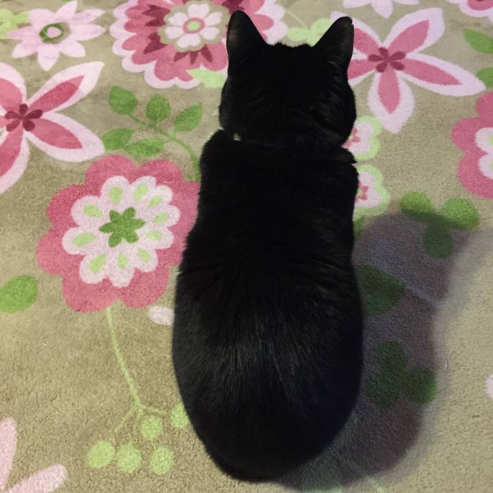 98b307b5 4f0a 4f10 9655 96bcf8490bd1 1545040354106