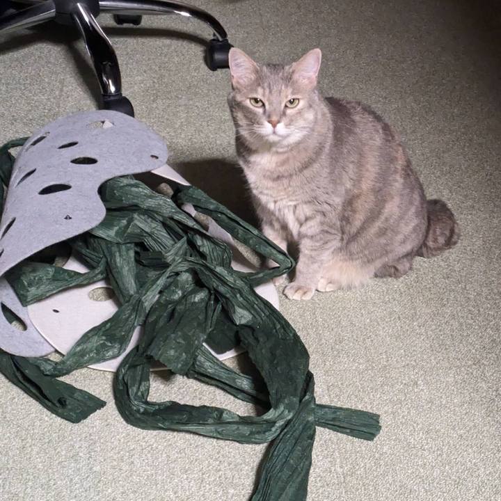 98b31dd6 f14d 412b 98f8 8bbf9f59a204 1690703634856