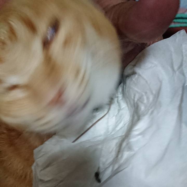 98b34a48 2ed6 4807 974e f4d635ddb136 1593943631309