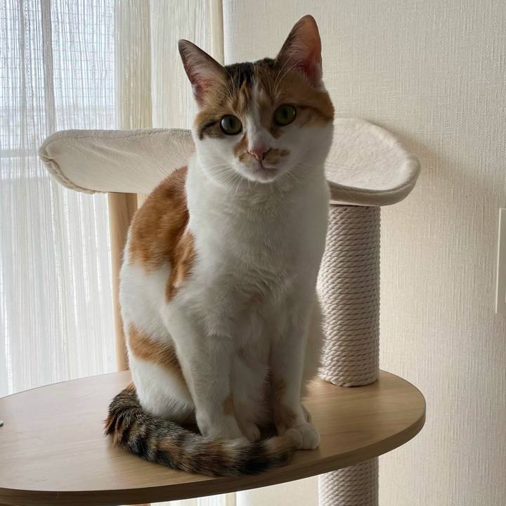 98b357d0 c052 4634 aba7 d15d738a2867 1618532481731