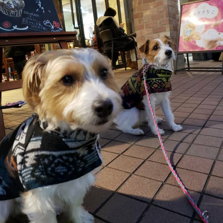 98b3a233 c3dc 48e8 94bd 6004952e8ef2 1578046506072