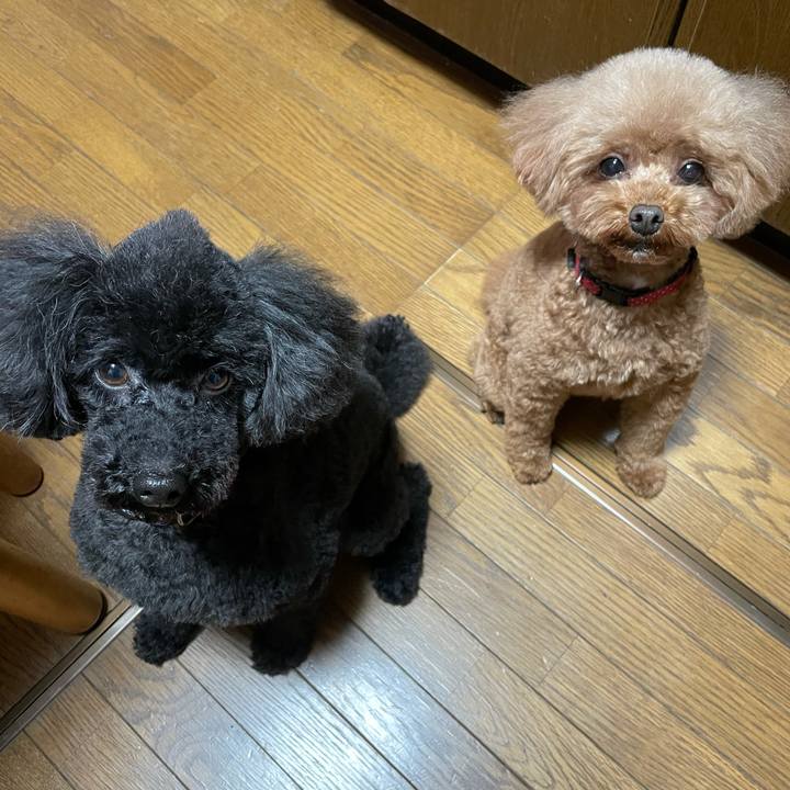 98b3e54f c5b2 4782 b6f9 95b67dbe3d16 1619264549840