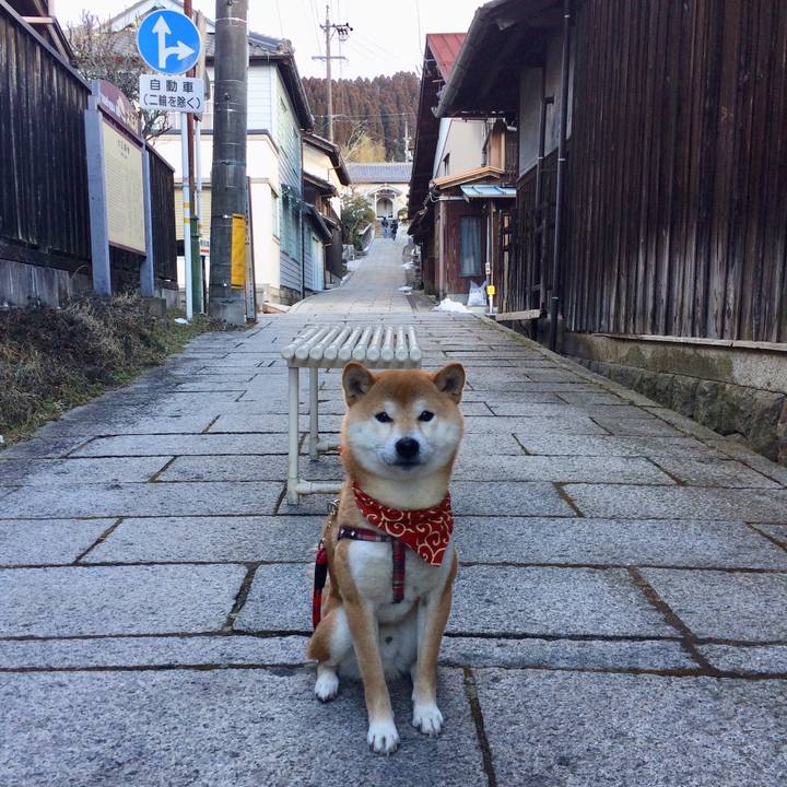 98b4262d 99b9 4f01 9afe 2ebbfbc245bd 1517820215550