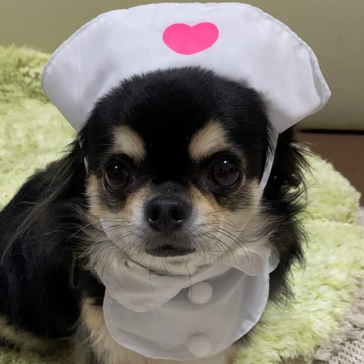 98b4482d 2dea 47a5 a5a8 fe0b9be9adaa 1661036160871