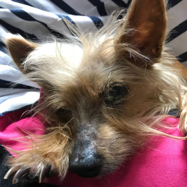 98b452d6 16e6 4f71 a78e bd3cd97ab2f6 1521891279269