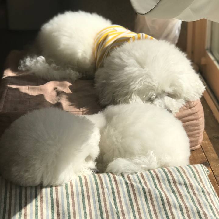 98b4580c 906d 4b09 91a5 9f4fbd4356fc 1581472054933