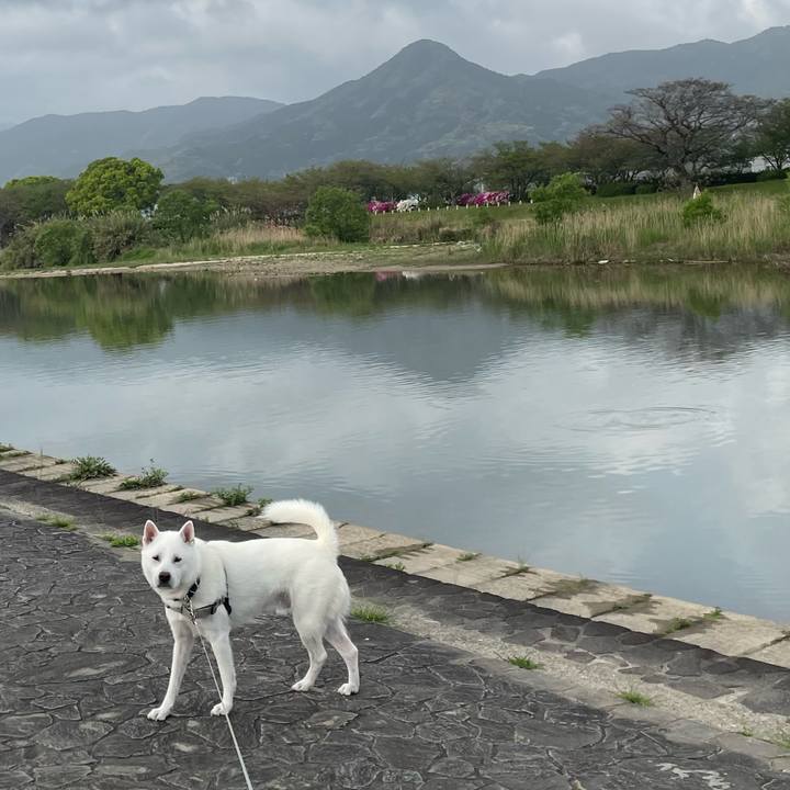 98b4cdb7 c39a 4868 8169 aa180c3a347e 1713401779236