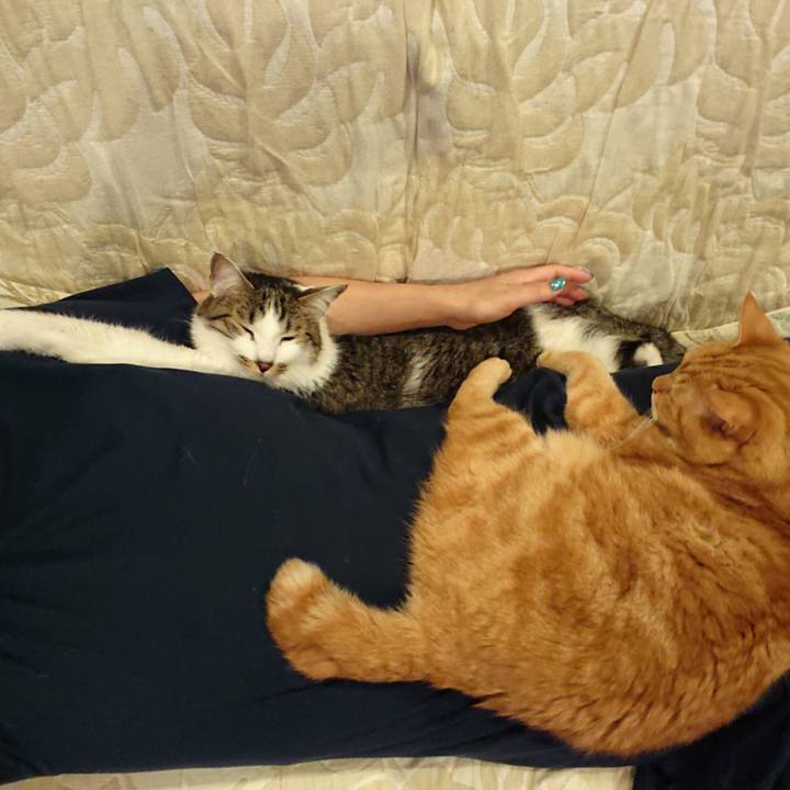 98b4d7fa 3497 4be8 b0f7 b60f8e94f111 1650801709458