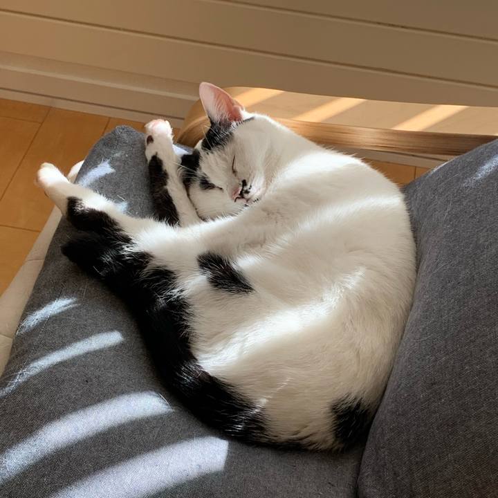 98b4dd78 32d5 4716 a70a 72f10d4424f2 1762132891111