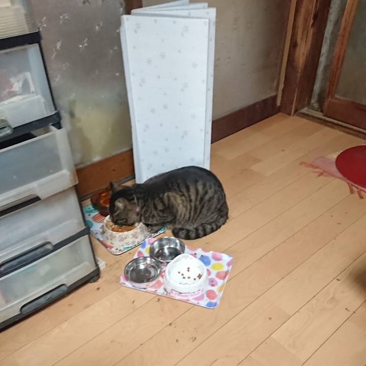 98b56fee a991 4d2f b503 02badb2fc156 1650804817056