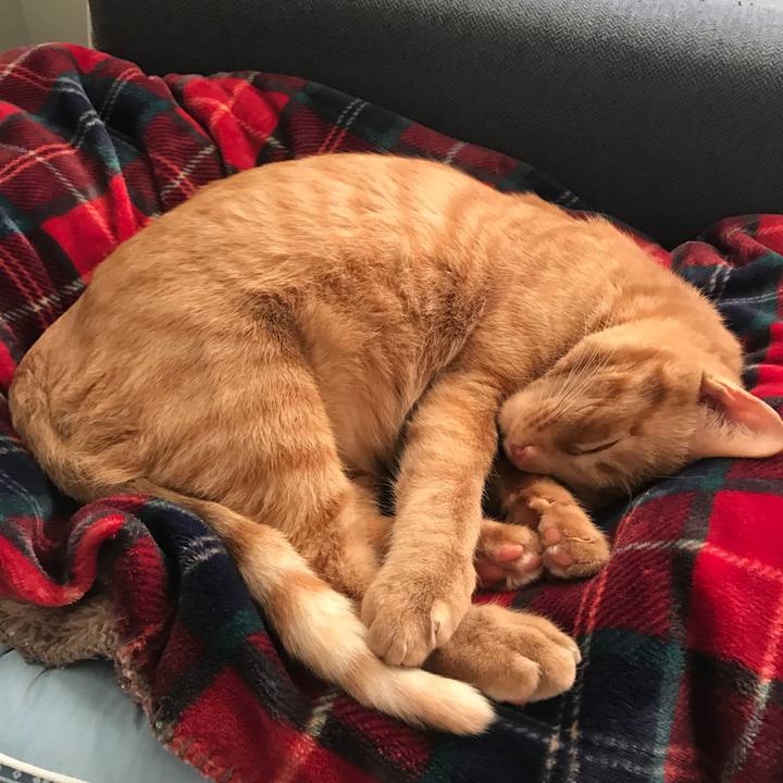 98b57074 f319 4286 9e13 2d20432d92a1 1589199679051