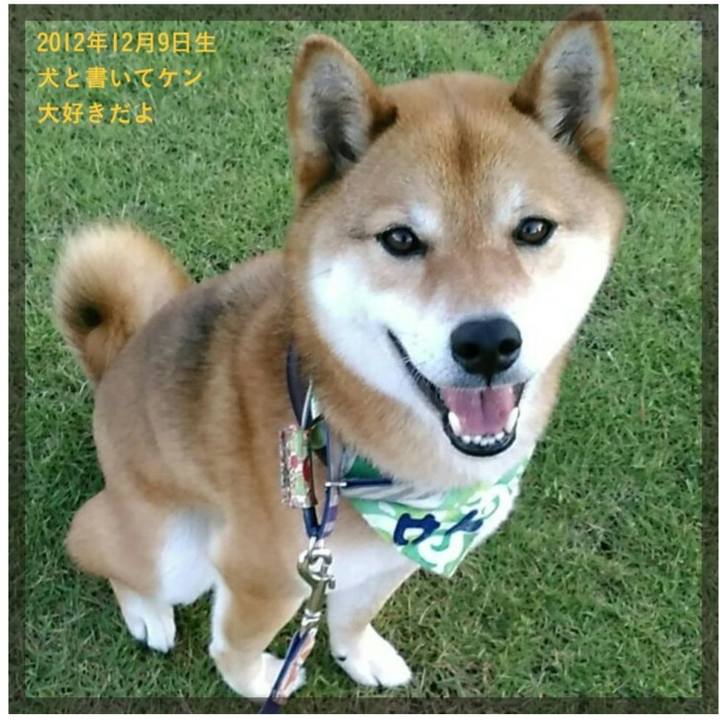 98b590b7 6b26 4784 9382 7318f4e12772 1583815881801