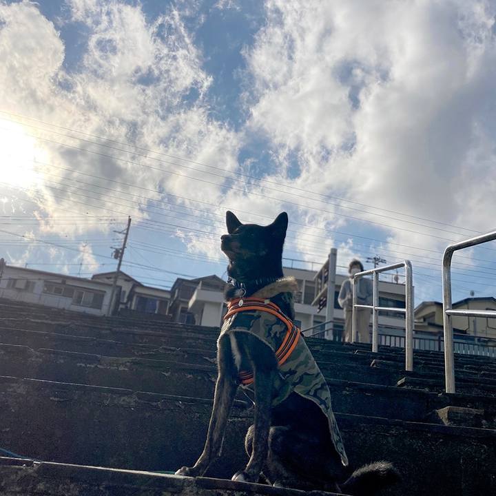 98b59c8f 43d1 49d6 9ba7 adbfc05e06c5 1612747028748